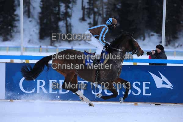 ET0Q0562 prot